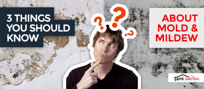 What is the difference between Mold & Mildew?